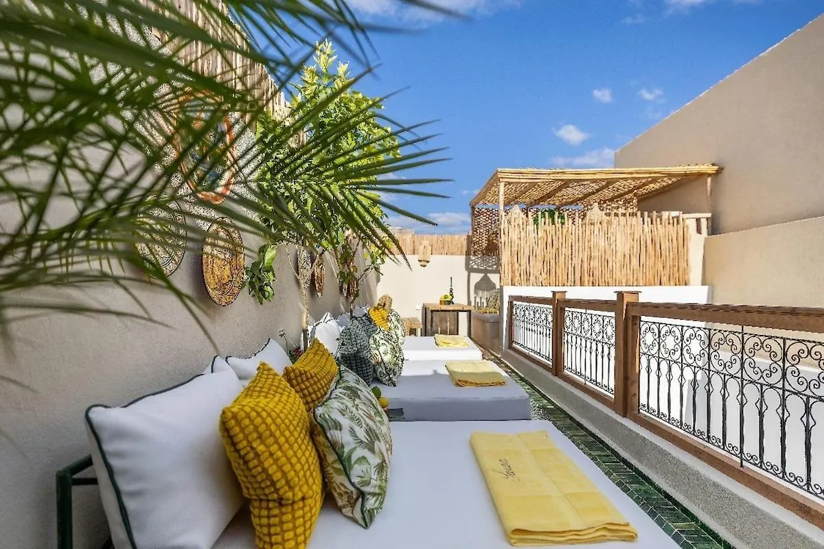 Villa Riad Rose Exclusive New Authentic Breakfast And Pool Marrakesh Morocco